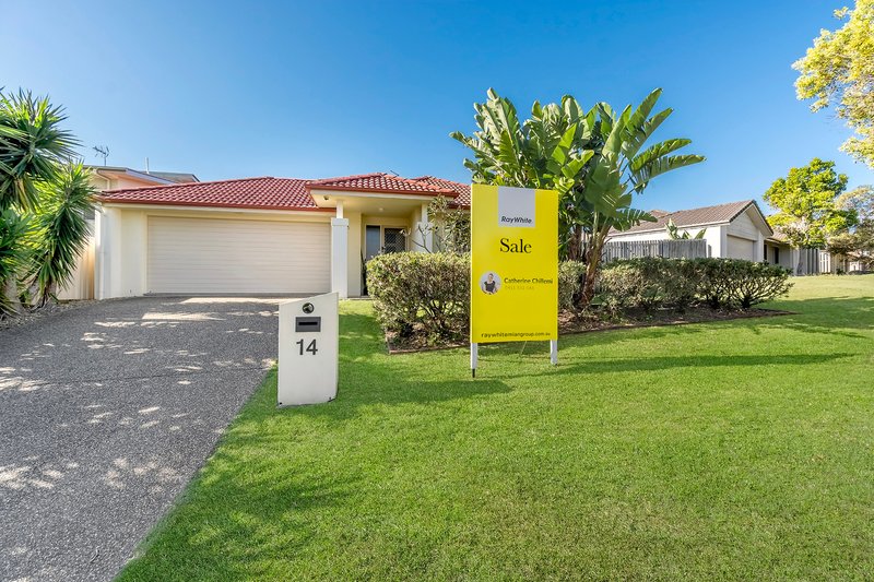 Photo - 14 Ritz Drive, Coomera QLD 4209 - Image 1