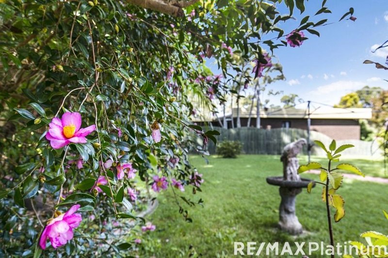 Photo - 14 Sacha Street, Burpengary QLD 4505 - Image 10