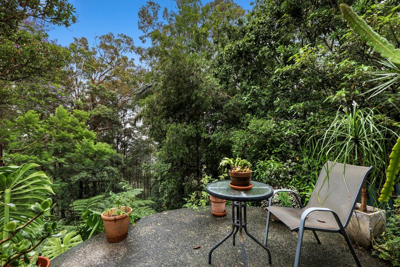 Photo - 14 Salvia Drive, Tamborine Mountain QLD 4272 - Image 19