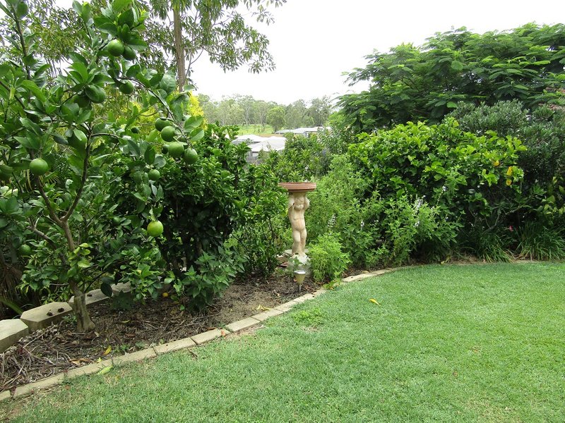 Photo - 14 Serena Drive, Beaudesert QLD 4285 - Image 16