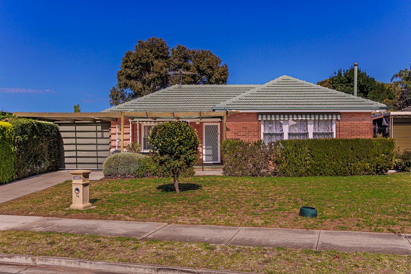 14 Shelley Avenue, Netley SA 5037