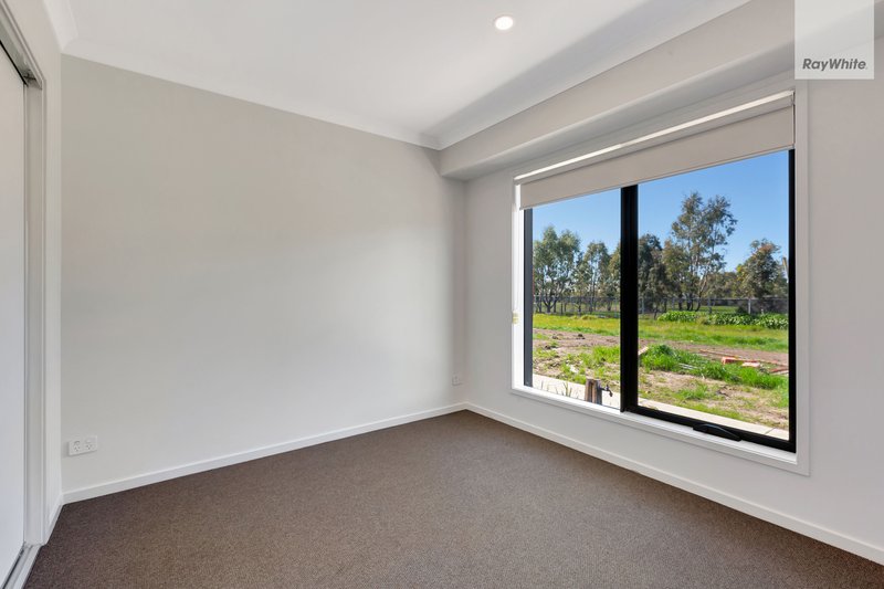 Photo - 14 Shingleback Walk, Mickleham VIC 3064 - Image 8
