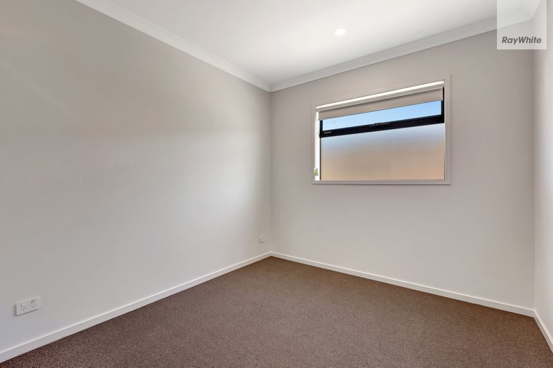 Photo - 14 Shingleback Walk, Mickleham VIC 3064 - Image 9