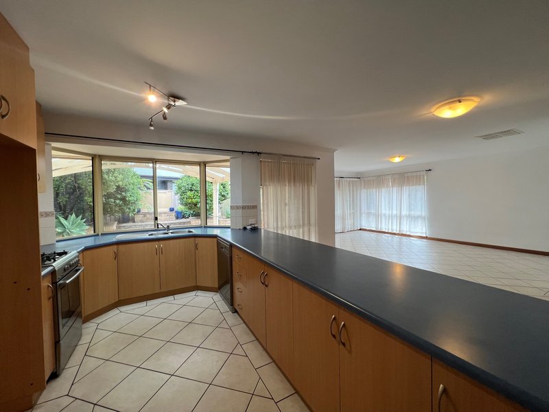 Photo - 14 Sudholz Court, Windsor Gardens SA 5087 - Image 6