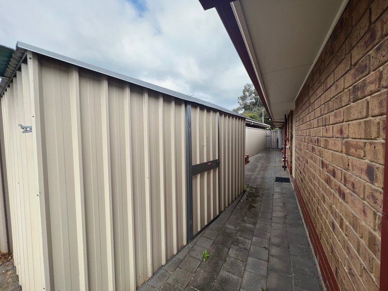 Photo - 14 Sudholz Court, Windsor Gardens SA 5087 - Image 21