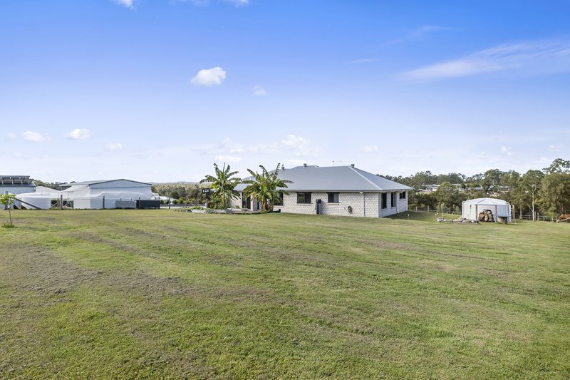 Photo - 14 Sunny View Ct , Araluen QLD 4570 - Image 21