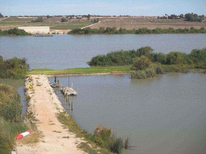 Photo - 14 Sunnybank Place, Tailem Bend SA 5260 - Image 6