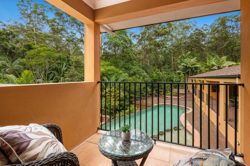 Photo - 14 Sunnyridge Rise, Buderim QLD 4556 - Image 9