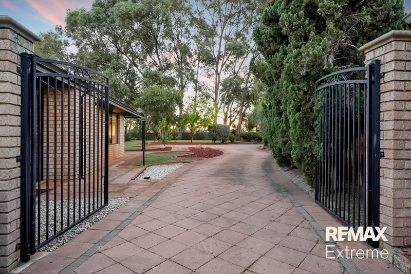 Photo - 14 Taittinger Grove, The Vines WA 6069 - Image 32