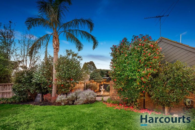 Photo - 14 Tanderra Crescent, Wantirna VIC 3152 - Image 11