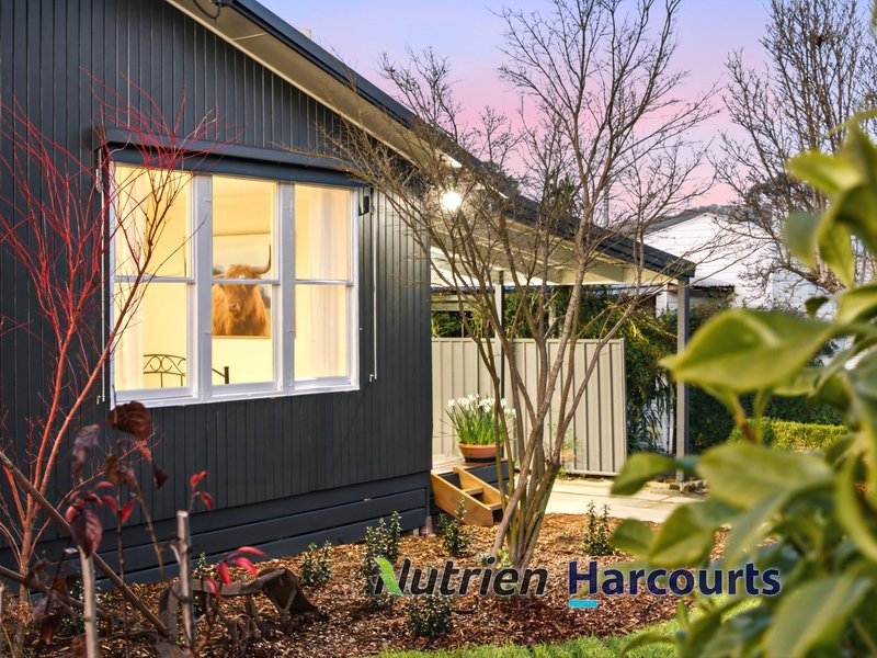 Photo - 14 Tenth Avenue, Eildon VIC 3713 - Image 2
