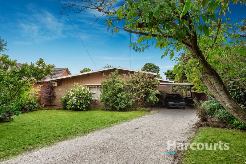 Photo - 14 Trevor Court, Mount Waverley VIC 3149 - Image 5