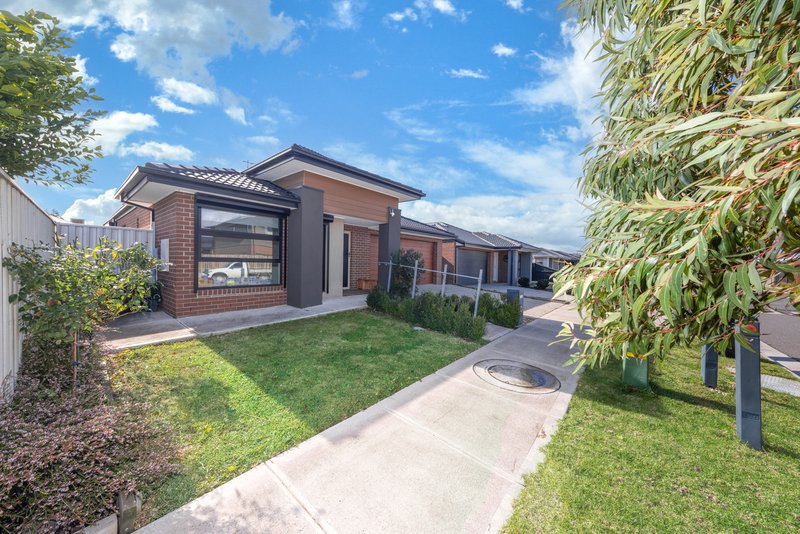 Photo - 14 Vignette Road, Diggers Rest VIC 3427 - Image 19