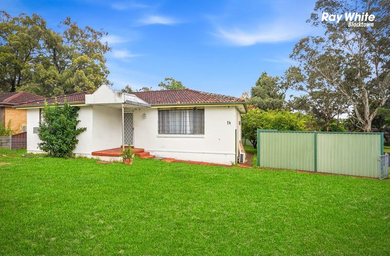 Photo - 14 Warren Street, Quakers Hill NSW 2763 - Image 1