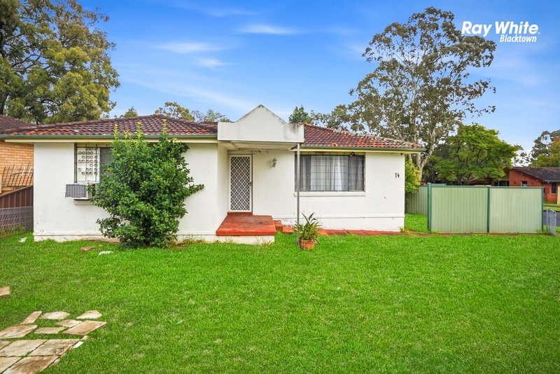 Photo - 14 Warren Street, Quakers Hill NSW 2763 - Image 1
