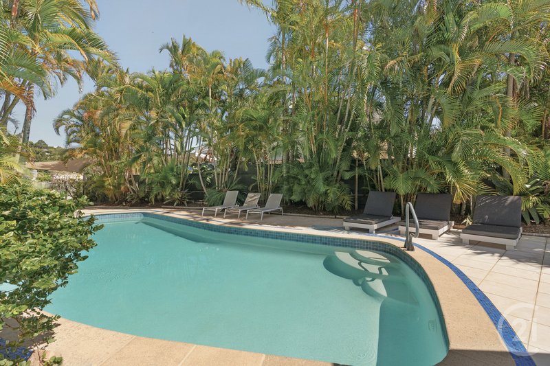 Photo - 14 Wesley Court, Noosa Heads QLD 4567 - Image 16
