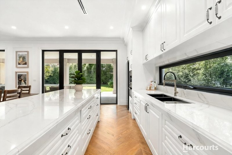 Photo - 14 William Street, Box Hill VIC 3128 - Image 5