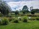 Photo - 14 Williams Road, Bonville NSW 2450 - Image 21