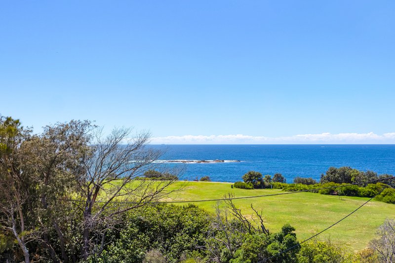 Photo - 14 Wolseley Road, Coogee NSW 2034 - Image 5