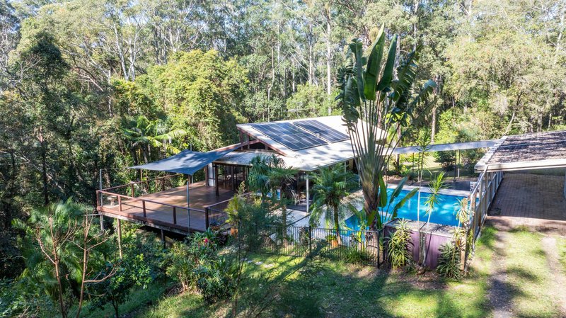 Photo - 140 Browns Road, Yarrahapinni NSW 2441 - Image 17