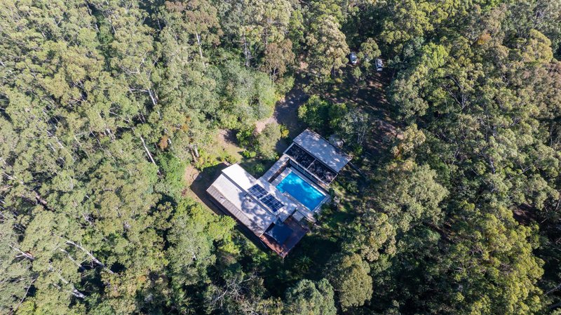 Photo - 140 Browns Road, Yarrahapinni NSW 2441 - Image 23