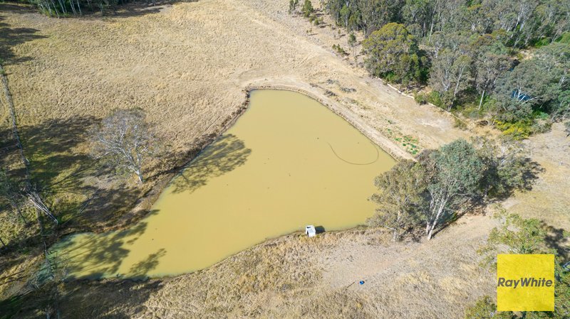 Photo - 140 Coates Park Road, Cobbitty NSW 2570 - Image 9