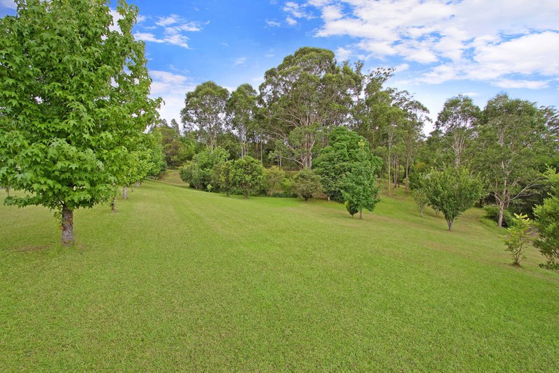 Photo - 140 Diamond Hill Drive, Kurrajong NSW 2758 - Image 3