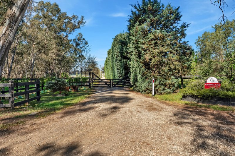 Photo - 140 Hall Lane, Whiteheads Creek VIC 3660 - Image 3