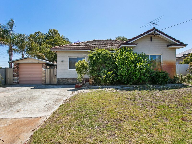 Photo - 140 Rosebery Street, Bedford WA 6052 - Image 6