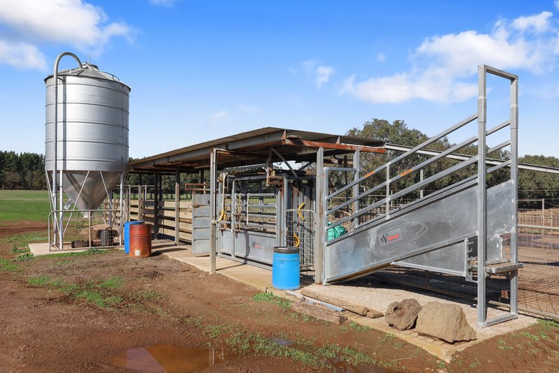 Photo - 140 Savins Road, Condah VIC 3303 - Image 16