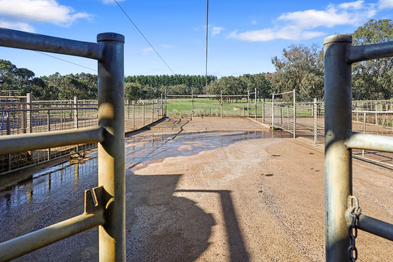 Photo - 140 Savins Road, Condah VIC 3303 - Image 18
