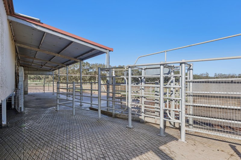 Photo - 140 Savins Road, Condah VIC 3303 - Image 29