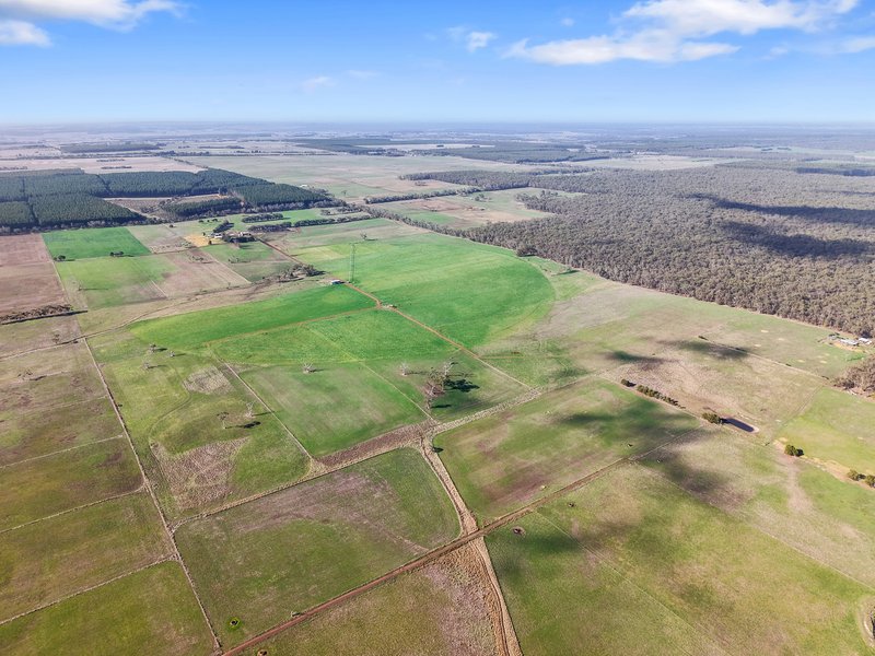 Photo - 140 Savins Road, Condah VIC 3303 - Image 32