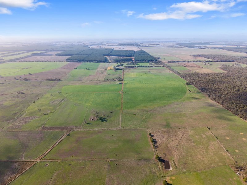 Photo - 140 Savins Road, Condah VIC 3303 - Image 33