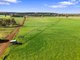 Photo - 140 Savins Road, Condah VIC 3303 - Image 34