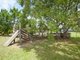 Photo - 1400 Manning Point Road, Mitchells Island NSW 2430 - Image 17