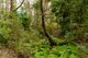 Photo - 1400 Nowra Road, Fitzroy Falls NSW 2577 - Image 9