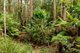 Photo - 1400 Nowra Road, Fitzroy Falls NSW 2577 - Image 10