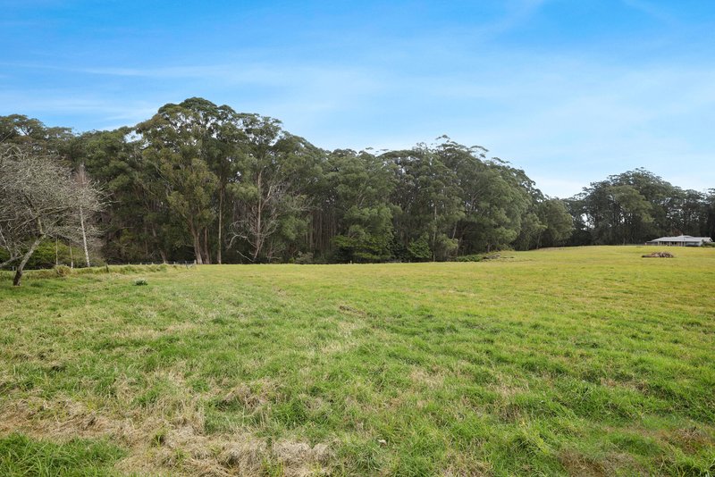 Photo - 1400 Nowra Road, Fitzroy Falls NSW 2577 - Image 11