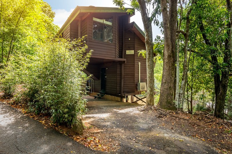 Photo - 1/400 Ruffles Road, Willow Vale QLD 4209 - Image 12