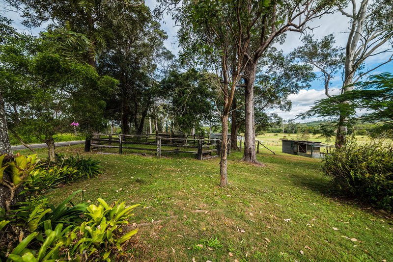 Photo - 141 Brewers Road, Cooran QLD 4569 - Image 10