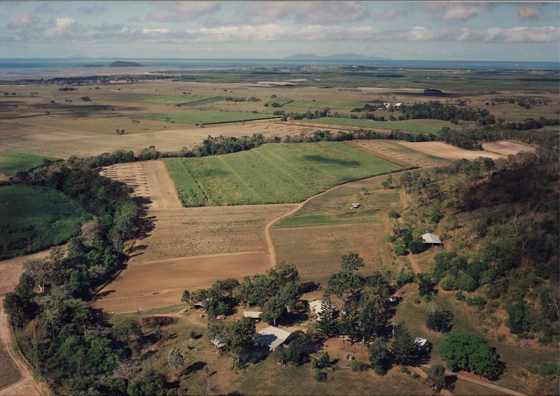 Photo - 141 Le Gardes Road, Habana QLD 4740 - Image 21