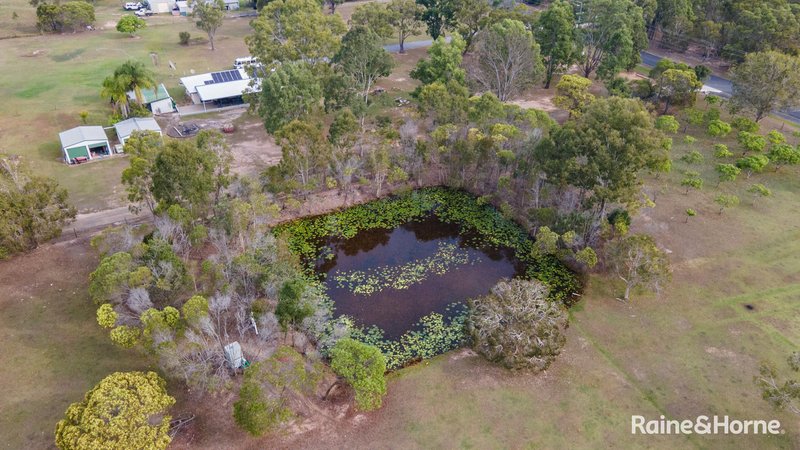 Photo - 141 Moorabinda Drive, Sunshine Acres QLD 4655 - Image 5