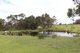 Photo - 141 Parker Road, Denmark WA 6333 - Image 11