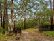 Photo - 141 Staghorn Drive, Austinville QLD 4213 - Image 3
