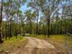 Photo - 141 Staghorn Drive, Austinville QLD 4213 - Image 5