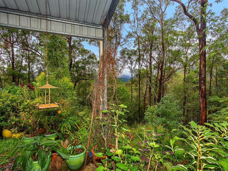 Photo - 141 Staghorn Drive, Austinville QLD 4213 - Image 17