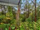 Photo - 141 Staghorn Drive, Austinville QLD 4213 - Image 17
