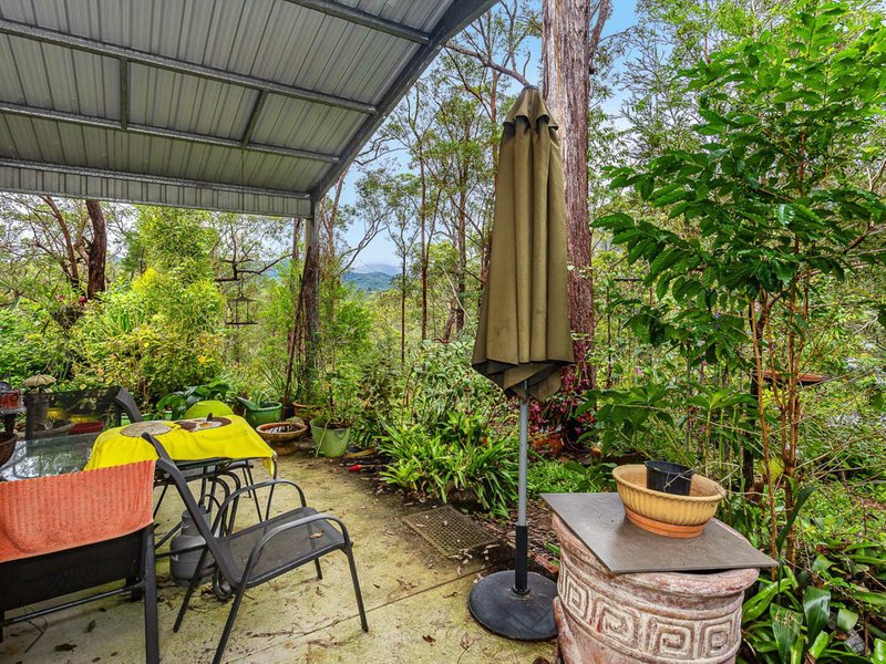 Photo - 141 Staghorn Drive, Austinville QLD 4213 - Image 19