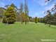 Photo - 141 Sunny Corner Road, Kirkconnell NSW 2795 - Image 20